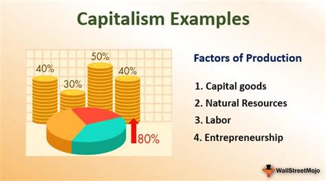 Capitalism (Definition, Examples) | Top 4 Practical Examples + Explanation