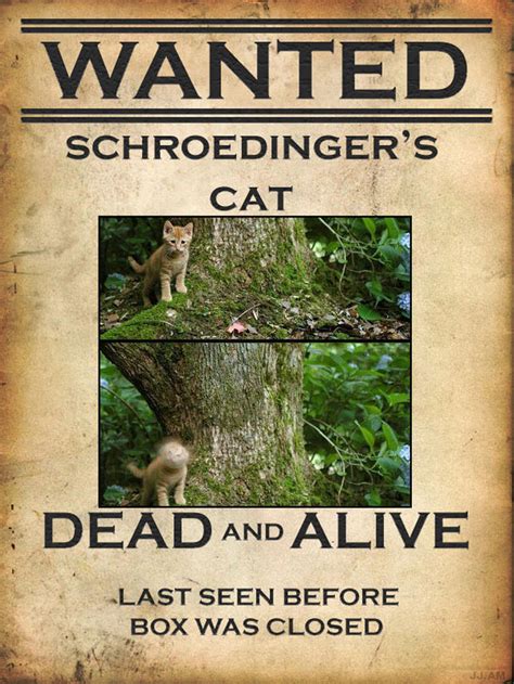 Schrodinger's Cat | Know Your Meme