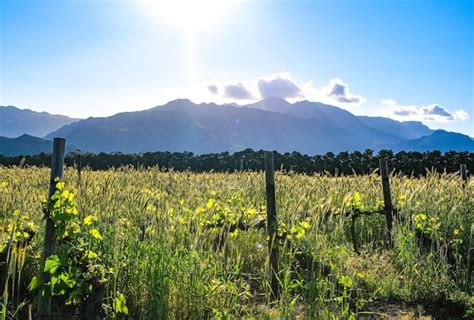 Premium Photo | Photo of blue sky landscape mountains