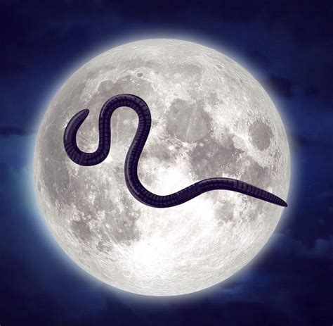 Here's When You'll Be Able to View March's Full Worm Moon