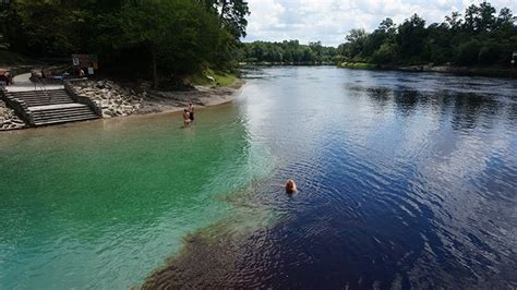 Springs of the Suwannee River Valley | Florida Hikes!