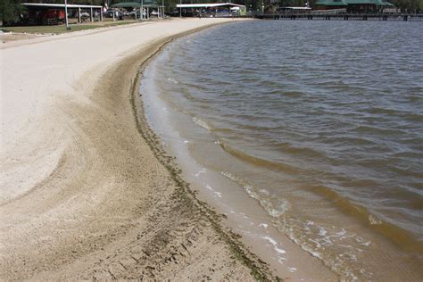 Our Lake Arthur beach in the park....Lake Arthur,La. ....Jennifer Authement..10-17-2015 Nature ...