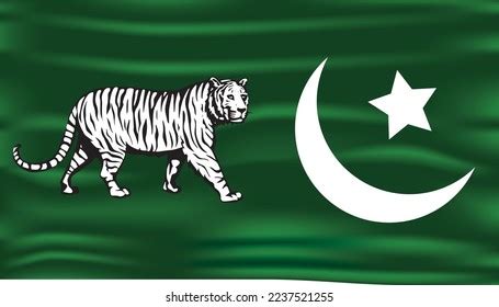 Pakistan Muslim League Noon Flag Vector Stock Vector (Royalty Free ...