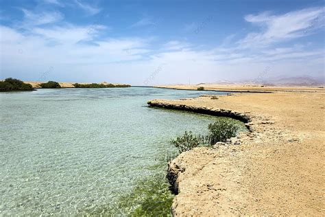 Ras Mohammed Mangrove Channel Egypt Park Mohammed Mangroves Foto Latar belakang Dan Gambar Untuk ...