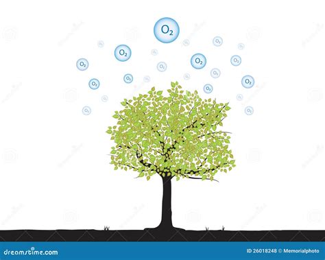 Tree With Oxygen Royalty Free Stock Photos - Image: 26018248