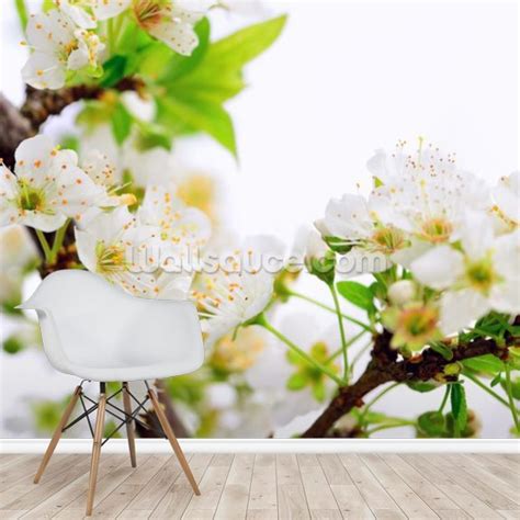 Plum Tree Flower Wallpaper | Wallsauce CA