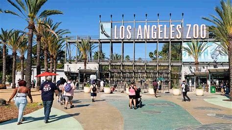 Los Angeles Zoo - tickets, prices, discounts, animals, safari shuttle