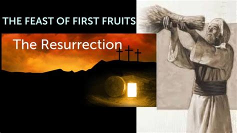 The Feast Of First Fruits - Logos Sermons