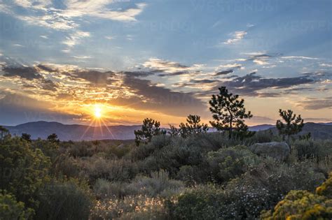 Scenery of desert at sunrise, Reno, Nevada, USA stock photo