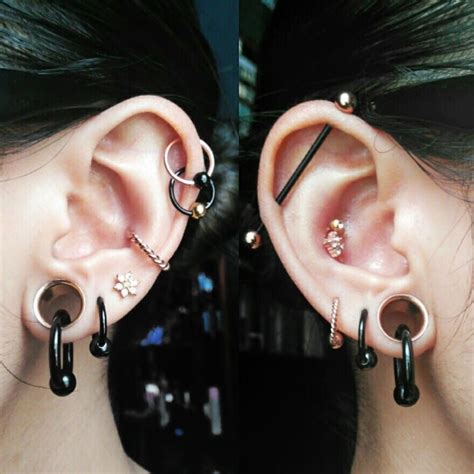 Ear Peircings, Cool Ear Piercings, Earings Piercings, Ear Gauges ...