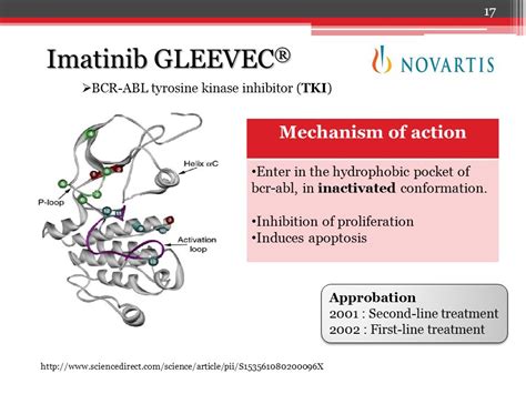 Gleevec Mechanism Of Action