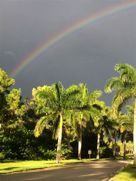 Free Images : tree, nature, rain, weather, rainbow, tropical storm ...