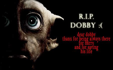 Funny Dobby Quotes. QuotesGram