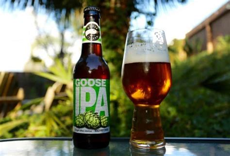 Top 20 IPA Beer Brands You Can Buy from Stores