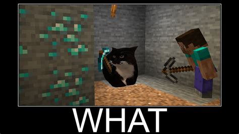 Maxwell the Cat in Minecraft wait what meme part 132 - YouTube