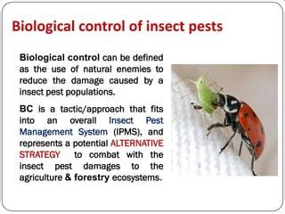 Biological Control of Insects | PPT