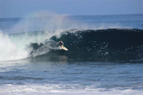 Images selection of Madeira Surf Shaping Retreat - Funchal, Madeira Island Surf Camps in Portugal