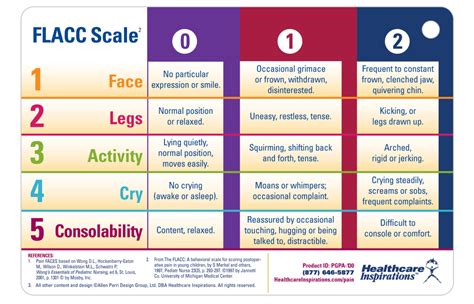 Pocket-Guide Visual Pain Scale