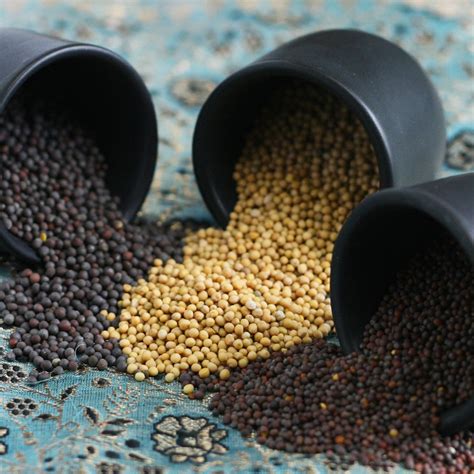 Mustard Seeds - The Silk Road Spice Merchant