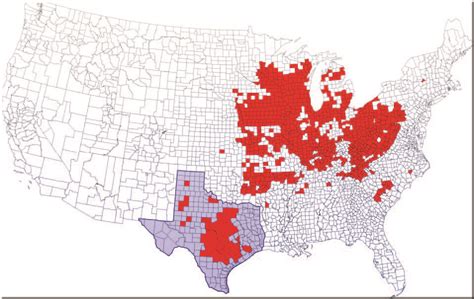 Oak Wilt Specialists of Texas – About Oak Wilt, Symptoms, Spread and ...