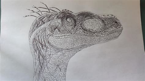 A drawing of my favourite Velociraptor in the JP franchise : r/JurassicPark