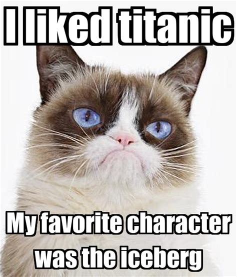 Top 74+ imagen titanic cat meme - abzlocal fi