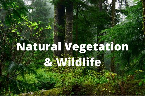 Class 9 Social Science (Natural Vegetation & Wildlife) – eLearnX