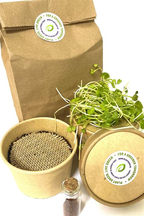 Microgreens Grow Kit - Grow Kits - Seeds | Plantshop.me