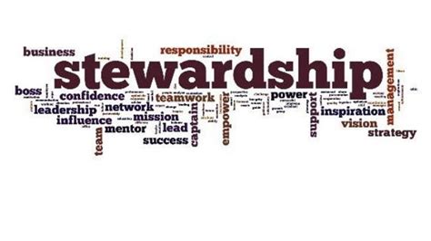 The Principles of Being a Good Steward