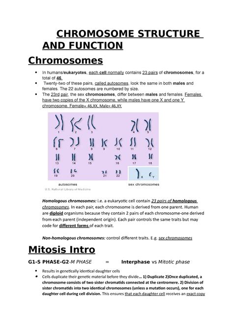 Chromosome Structure AND Function notes - CHROMOSOME STRUCTURE AND FUNCTION Chromosomes In - Studocu