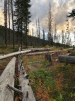 Vail Hiking Trails | Insider Families