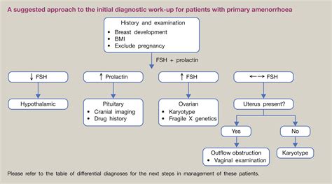 Primary amenorrhoea - Obstetrics, Gynaecology and Reproductive Medicine