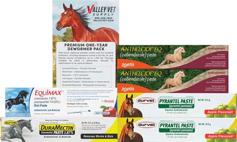 Premium One-Year Paste Horse Wormer Pack Valley Vet Supply - Pyrantel ...