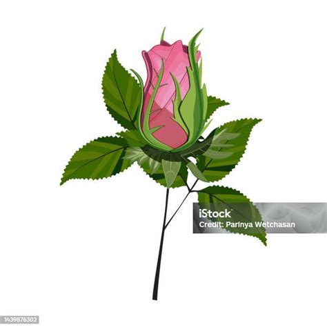 Red Rose Flower Frame Border Isolated Vector Illustration Stock ...