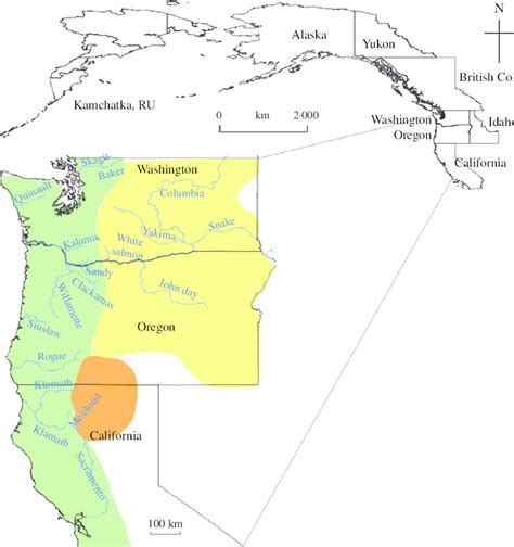 Ancestry of Oncorhynchus mykiss introduced into Argentina. (a) Native... | Download Scientific ...