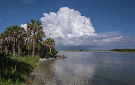 Florida Mountains Photograph by Jim Gray