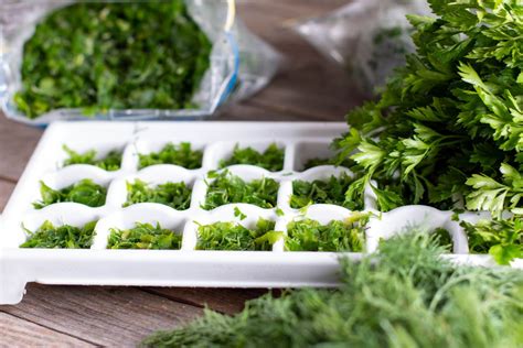 How To Store Dry Herbs For A Long Shelf Life