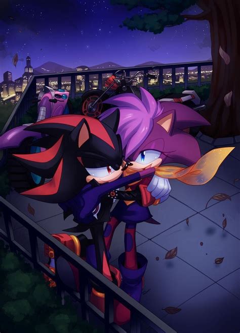 Shadow x sonia ☆ | Sonic and shadow, Sonic heroes, Sonic fan art