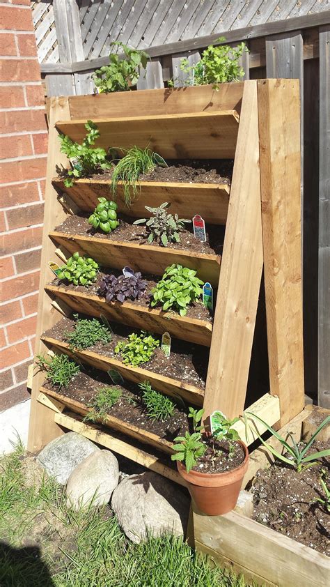 Herb Garden Planted - Imgur | Vegetable garden boxes, Vertical vegetable gardens, Plants