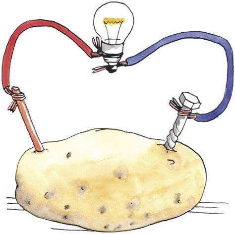 how to make a potato powered light bulb - Google Search Diy Science Experiments, Science ...