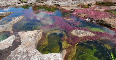 Rainbow River in Colombia | POPSUGAR Smart Living