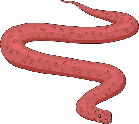 A snake slithering 36147864 Vector Art at Vecteezy