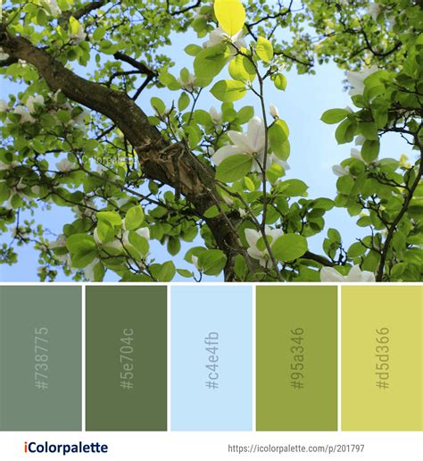 Color Palette ideas from 4803 Tree Images | iColorpalette | Green color pallete, Green colour ...