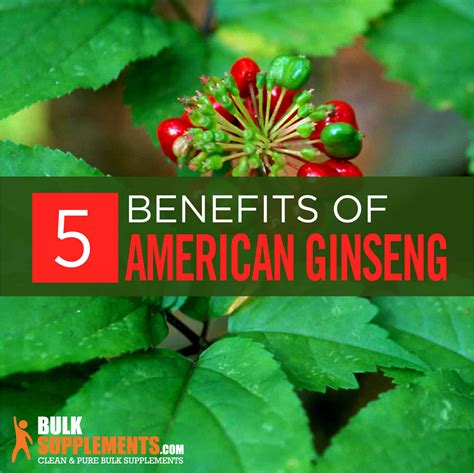 American Ginseng: Benefits, Side Effects & Dosage