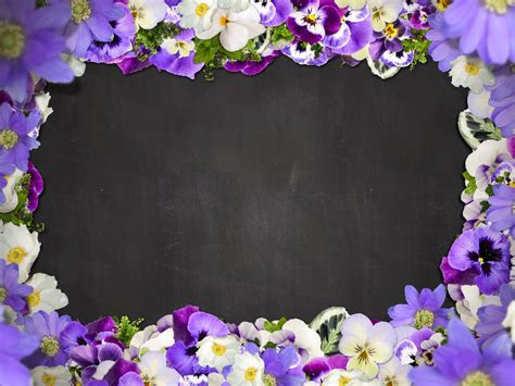 Beautiful Floral Border With Purple Flowers Free Background (Nature-Grass-And-Foliage ...