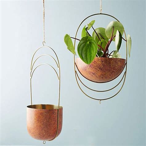 Best Hanging Plants and Planters | The Strategist