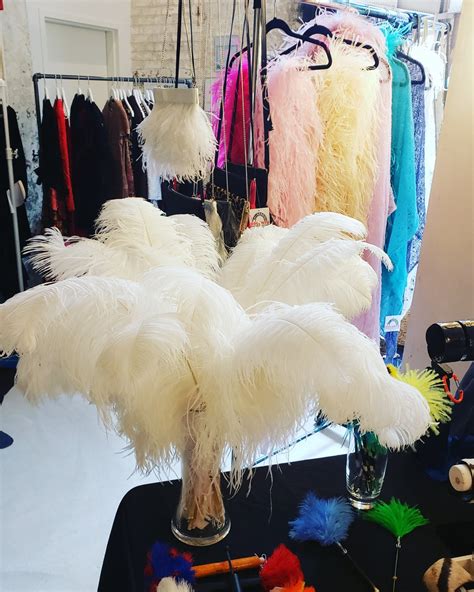 1st Quality XL Individual Female Ostrich Feathers – KOLUNTU