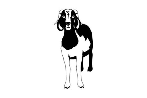 Boer Goat (SVG Cut file) by Creative Fabrica Crafts · Creative Fabrica