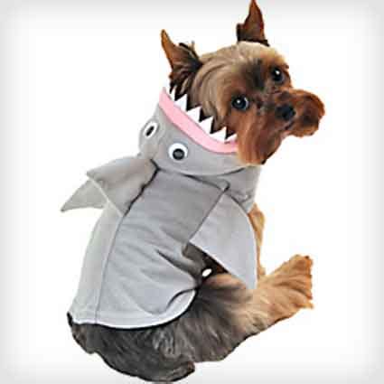 Shark-Dog-Costume - Costume Yeti