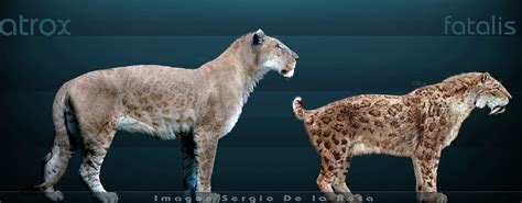 Panthera atrox and Smilodon fatalis : pleistocene